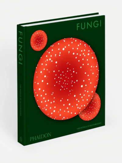 Fungi